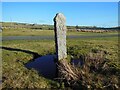 Old Boundary Marker on Emblance Downs, St Breward parish