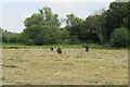 SU4727 : Traditional haymaking near St Cross by Bill Boaden