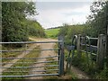 Path junction near Frithwood Farm