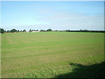 NU2030 : Large field to the north of Southfield Farm by Richard Law