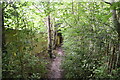 Footpath, Carroty Wood