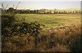 Early sunshine on Blackwood fields