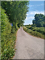 Lane to Waterloo Farm, West Rolstone