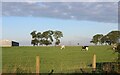 Advancing weather front in rural Ayrshire