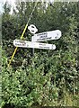 Direction Sign ? Signpost at Bonfire Hill, Alderholt