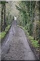 Bridleway, Knatts Valley