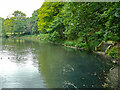 The Lake, Gledhow Valley Woods, Leeds