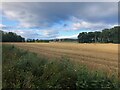 View across hay field near Howick Hall