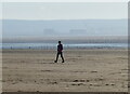 ST2953 : Walker on the beach at Brean Sands by Mat Fascione