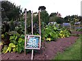 SP2972 : Plot 58a, Odibourne Allotments, Kenilworth by Alan Paxton
