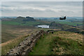 NY7467 : Chinook Helicopter over Hadrian's Wall by Brian Deegan