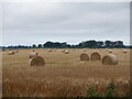 Round bales near Easter Calcots