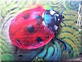 Ladybird mural, Coventry Canal by Foleshill Road, Coventry