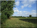 Grass field adjacent to Lawn Farm