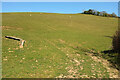 SX8155 : Hillside near Coomery by Derek Harper