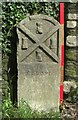 Old Boundary Marker on Venn Lane, Plymouth