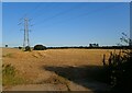 Electricity pylon in a cornfield