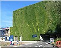 Green wall, De Montfort Way