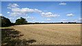 Worcestershire farmland near Upper Arley