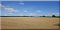 Worcestershire cropfield south-east of Upper Arley