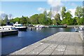M8503 : Portumna Harbour, Co. Galway by P L Chadwick
