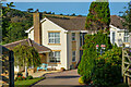 Braunton : Conifers