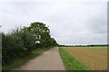 Track from The Lodge to Low Somerby