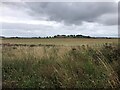 View across fields to High Newton Farm