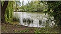 Lake at Shobdon