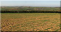 SX8154 : Field near Tideford by Derek Harper