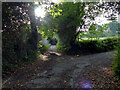 Lane behind Triley Court, looking south