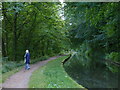 Monmouthshire and Brecon canal heading south