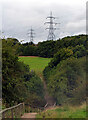 SE2127 : Path and pylons, Oakwell Hall Country Park by habiloid