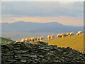 Golygfa tuag at Cadair Idris