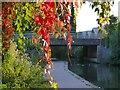 Autumn colours near Old Church Road Bridge - number 6 - on the Coventry Canal