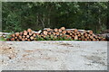 Log pile