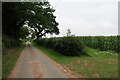 Footpath from Hempstead Road