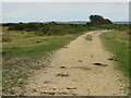 SZ3293 : Track over salt marshes near Lymington by Malc McDonald