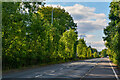 Ash Green : Winding House Lane