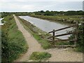 SZ3293 : Path across salt marshes, near Lymington by Malc McDonald