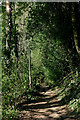 Footpath to Upper Arley in Worcestershire