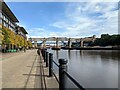 Avenue of trees on Newcastle waterfront