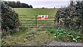 Field gateway on south side of minor road north of St Brelades