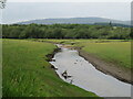 Melgam Water enters the Loch of Lintrathen