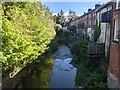 The River Severn (Llanidloes)