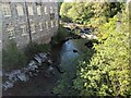 The River Severn (Llanidloes)