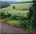 Field gate in Mynydd-bach, Monmouthshire