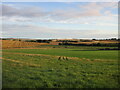 Fields near Backhill