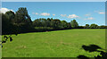 Sheep pasture near Clannon Farm