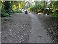 Path through Alexandra Park